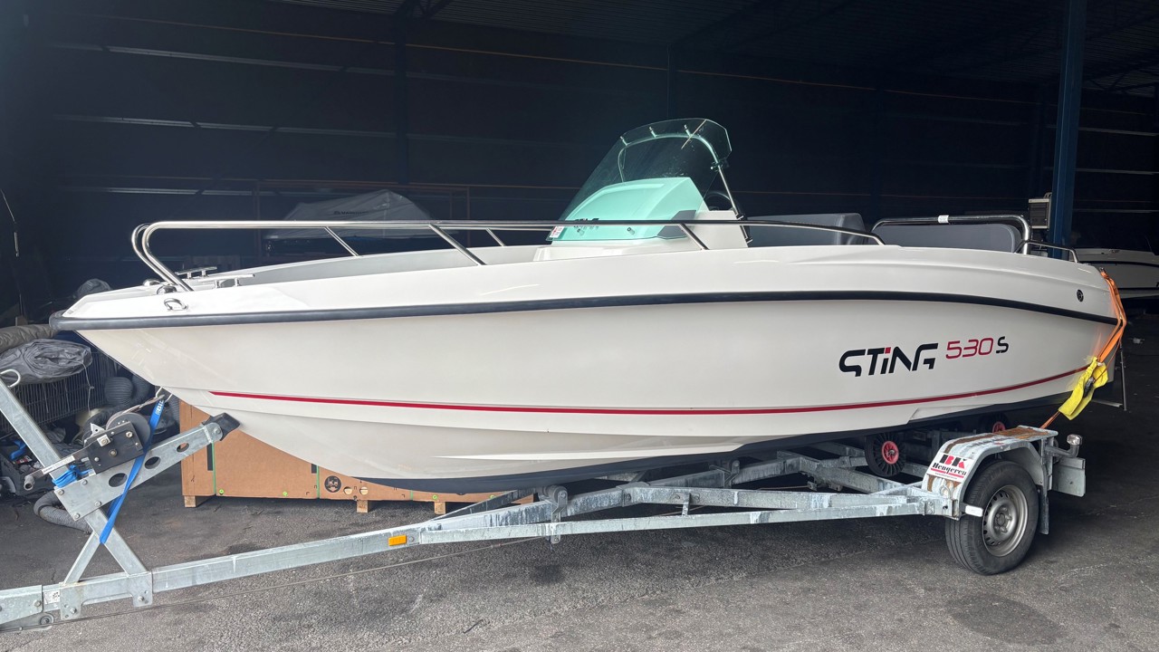 Sting 530 S -18 med Evinrude 75 DSL -19