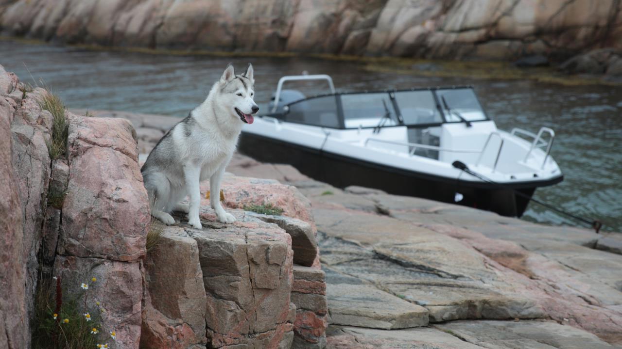 Husky R7 -16 Yamaha F 200 FETX -16