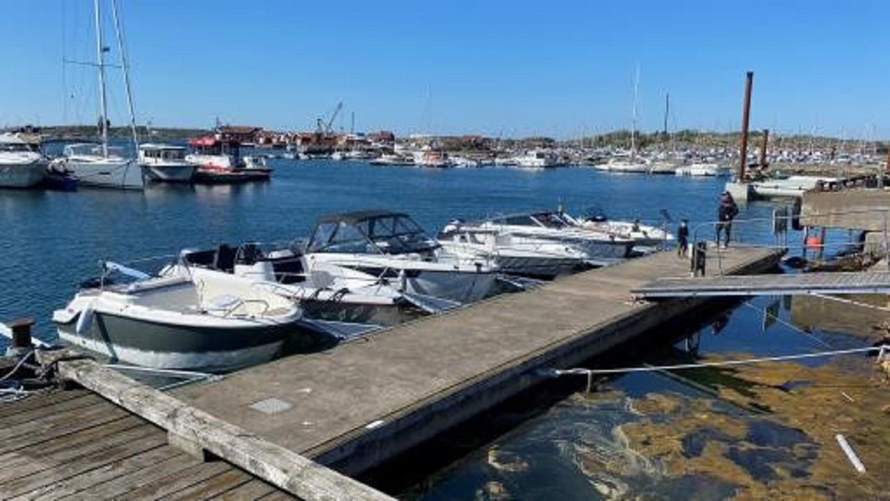 Rodins Marin i Hunnebostrand! Försäljning/Service/Reparation/Vinterförvaring!