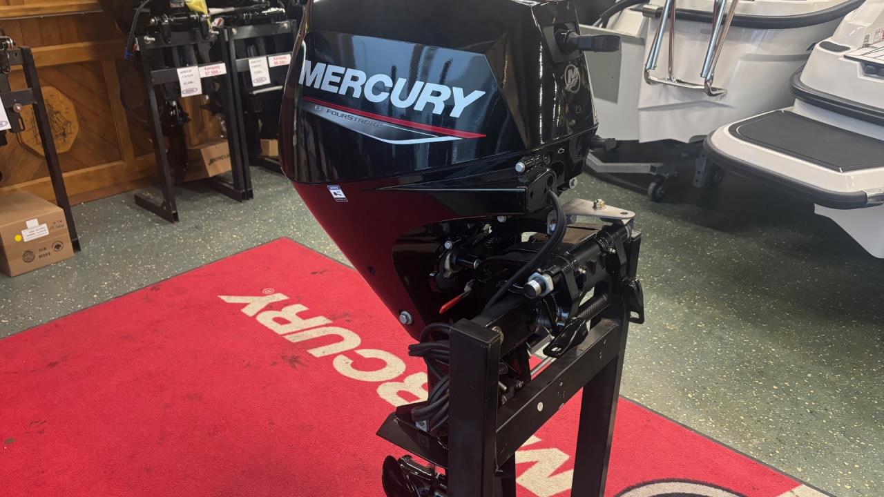 Mercury F20 E EFI