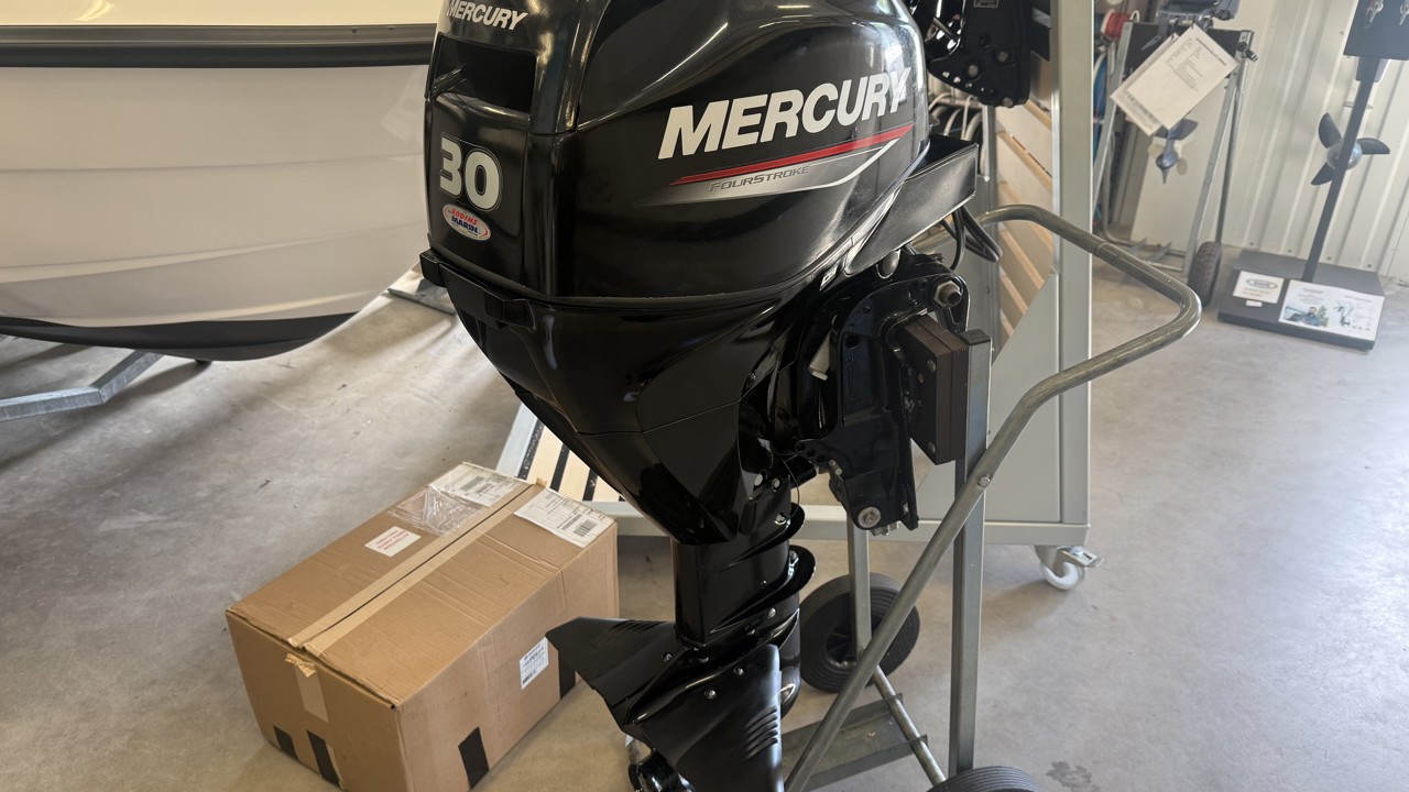 Mercury F 30 ELPT -21